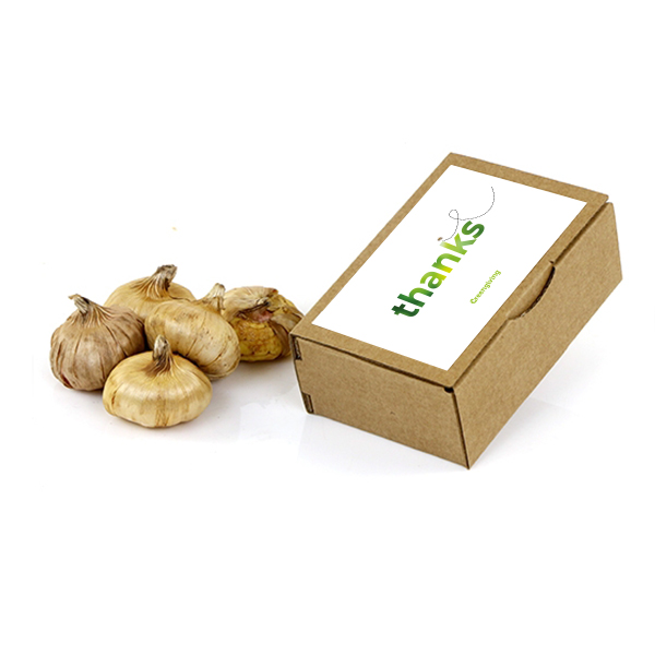 Kraft box medium flower bulbs